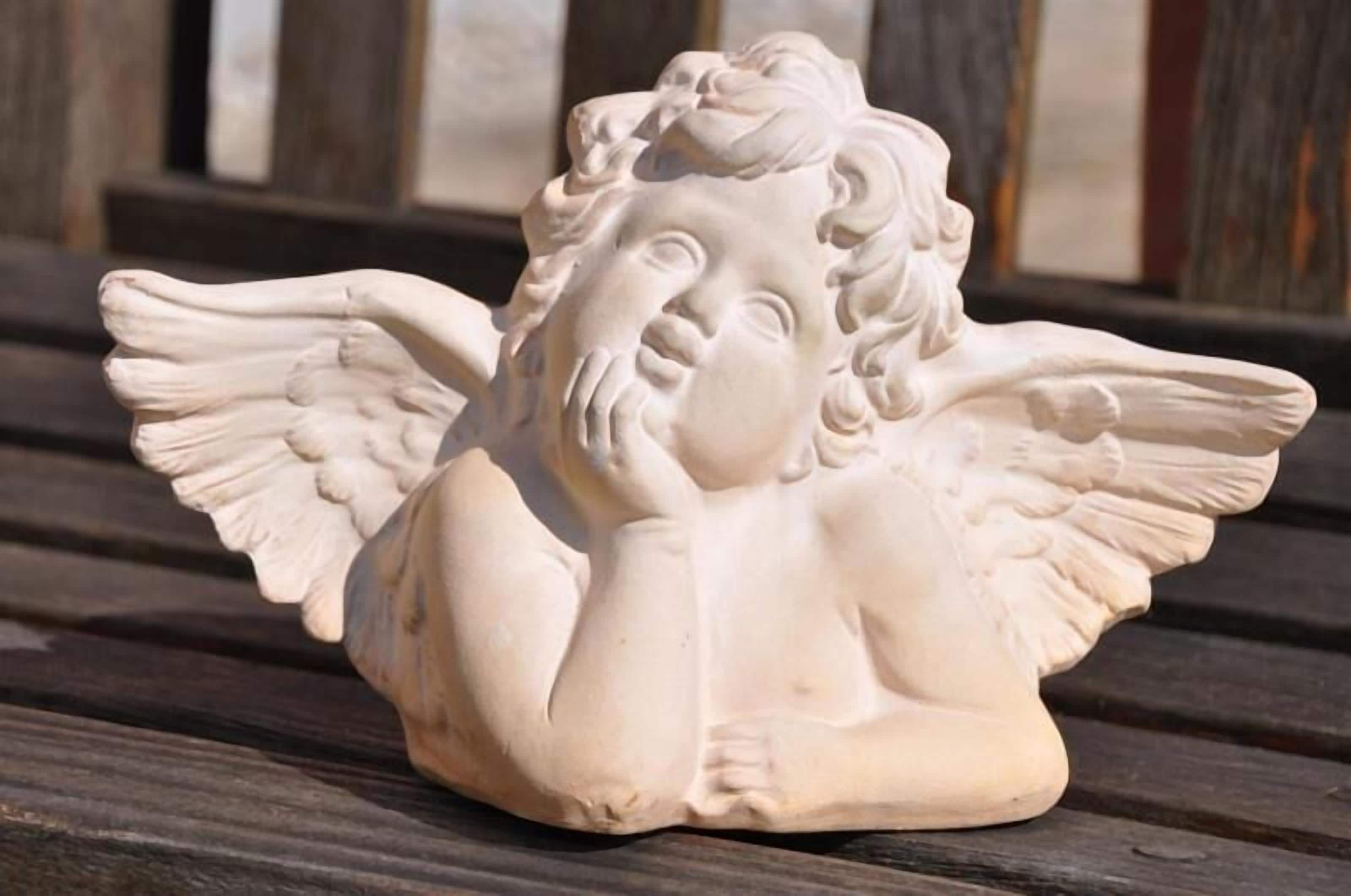 Photo - Hotel Fischerhaus