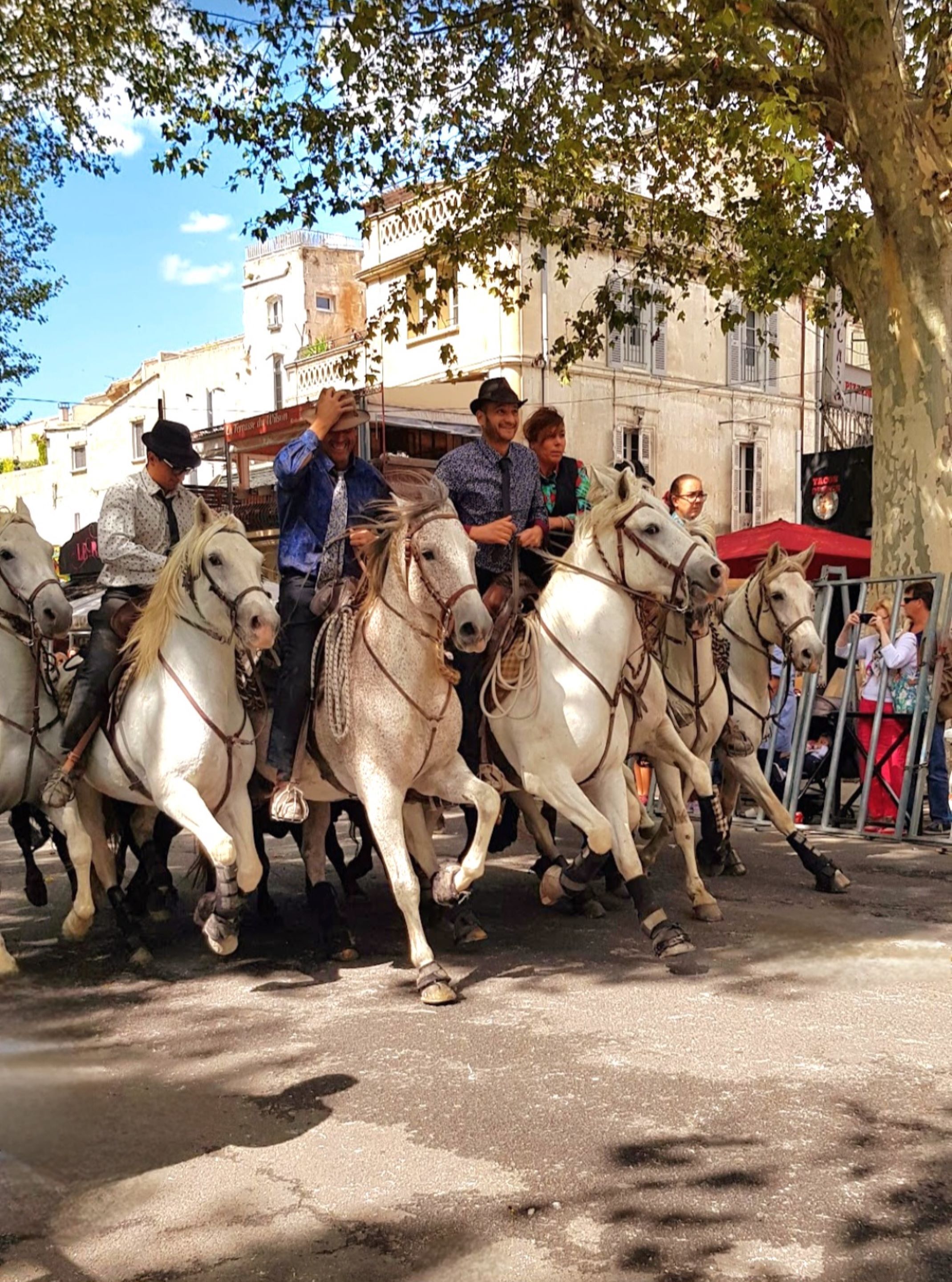 Foto - Le Cheval Blanc