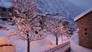 A snow-covered building with a brick exterior and a snow-covered tree in front.