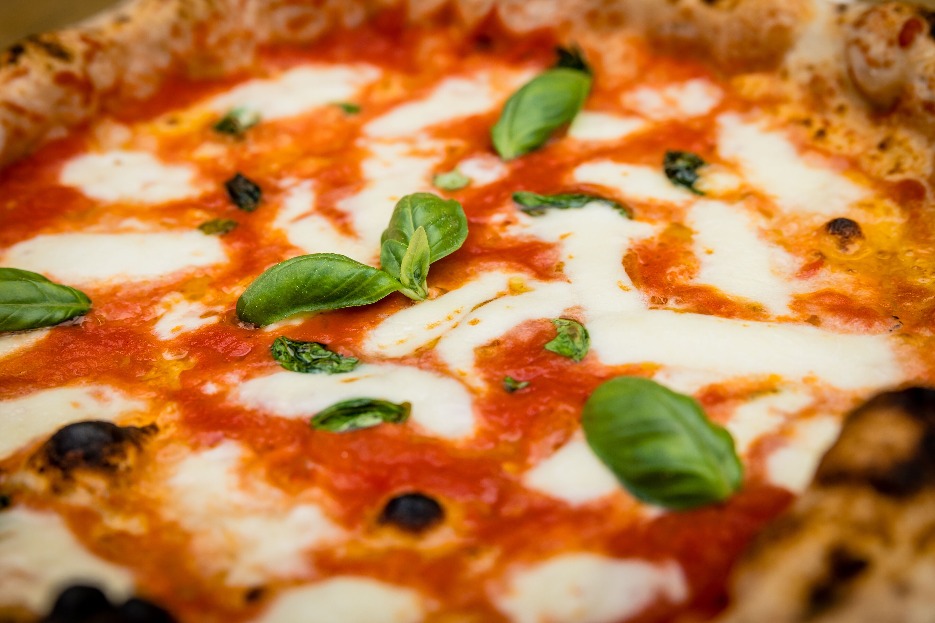 A close-up of a pizza with cheese, tomato sauce, and basil leaves.