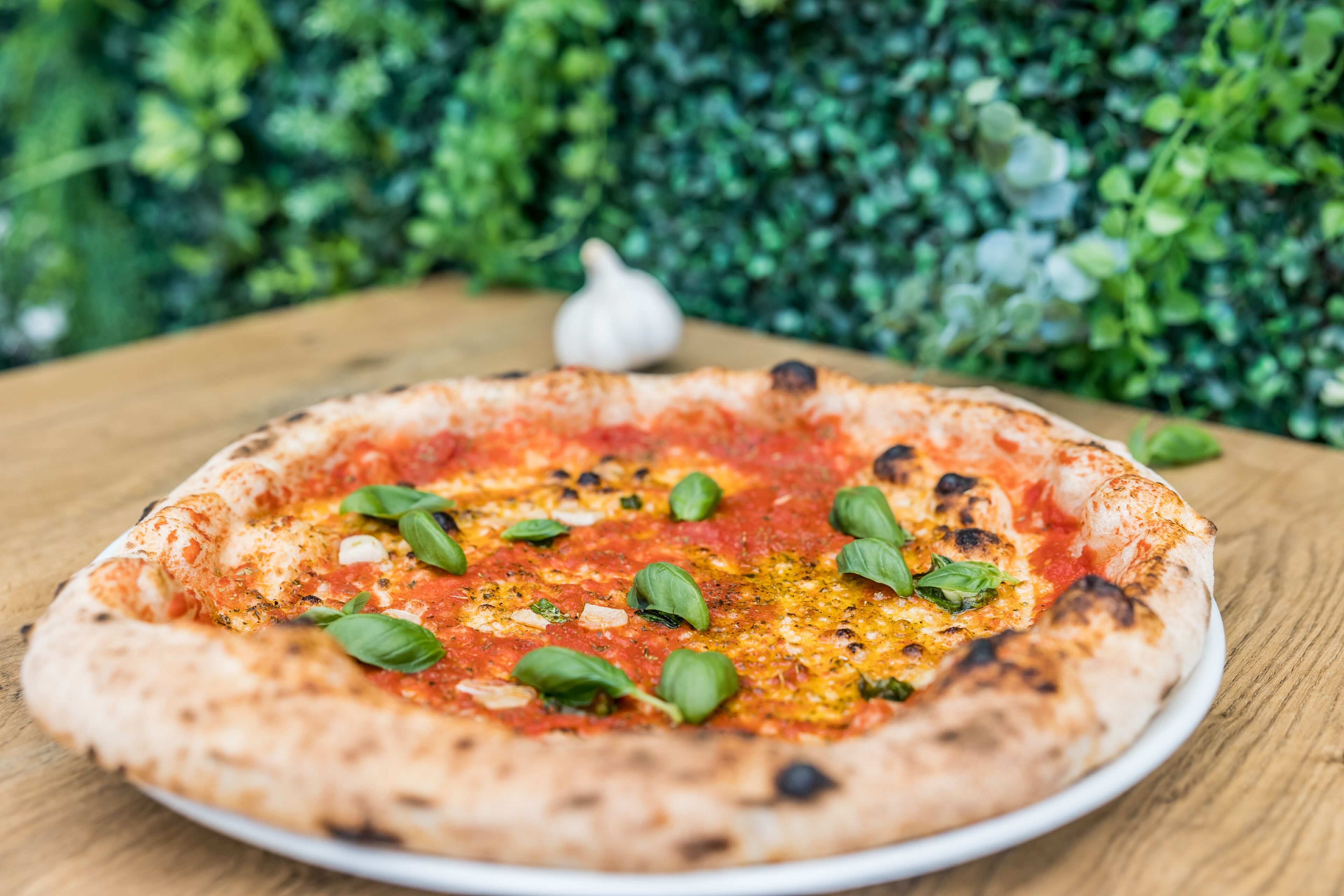 A pizza on a white plate with a wooden table and a green leafy background.