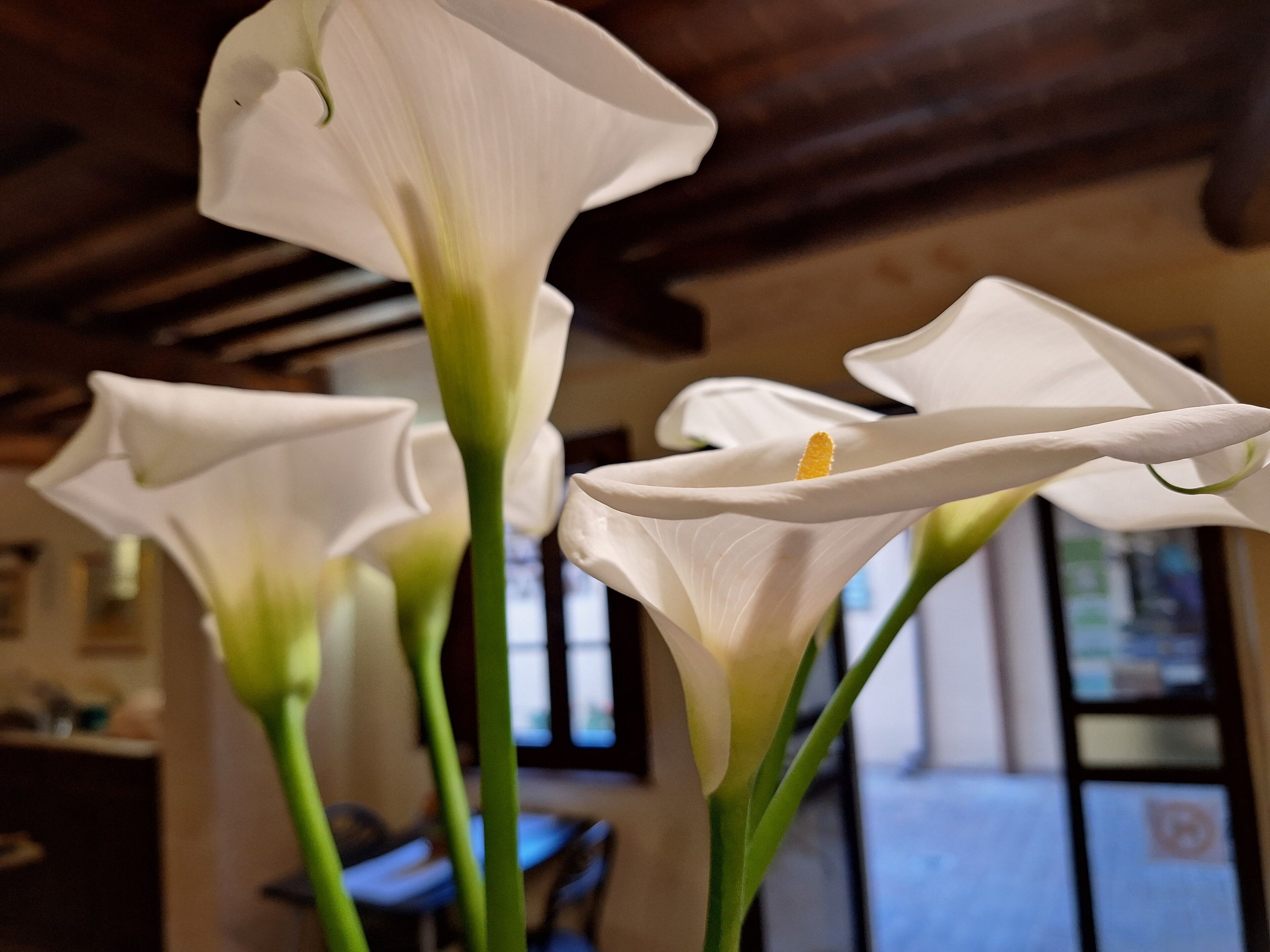 Foto - Antico Borgo Il Cardino