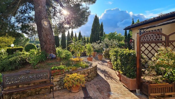 Un jardin avec un sentier en pierre, des bancs en bois et diverses plantes en pot.