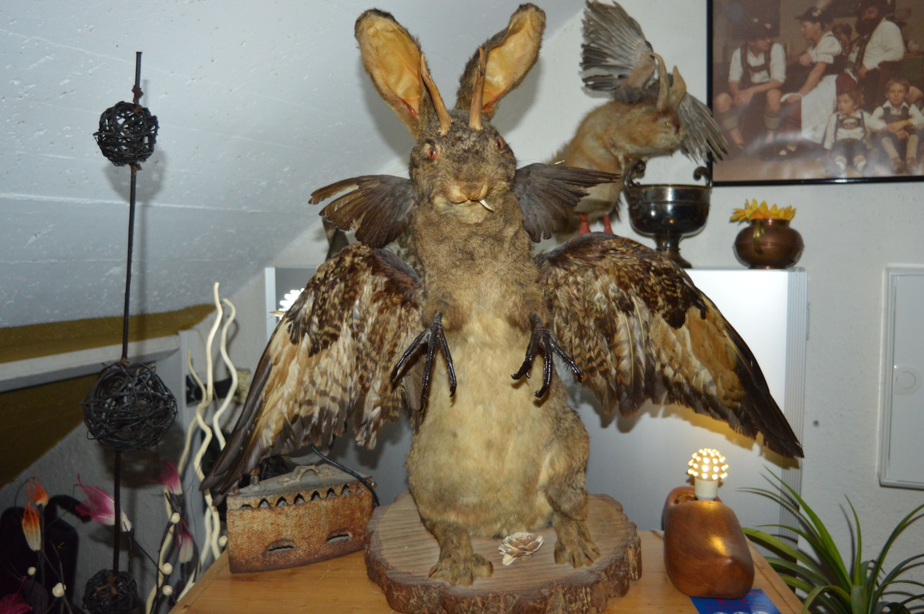 Foto - Hotel Bavaria