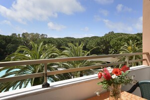 Vista dalla camera