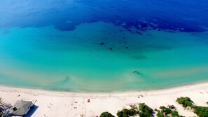 Beach nearby, white sand, sun loungers - Hotel Oasis (Alghero)