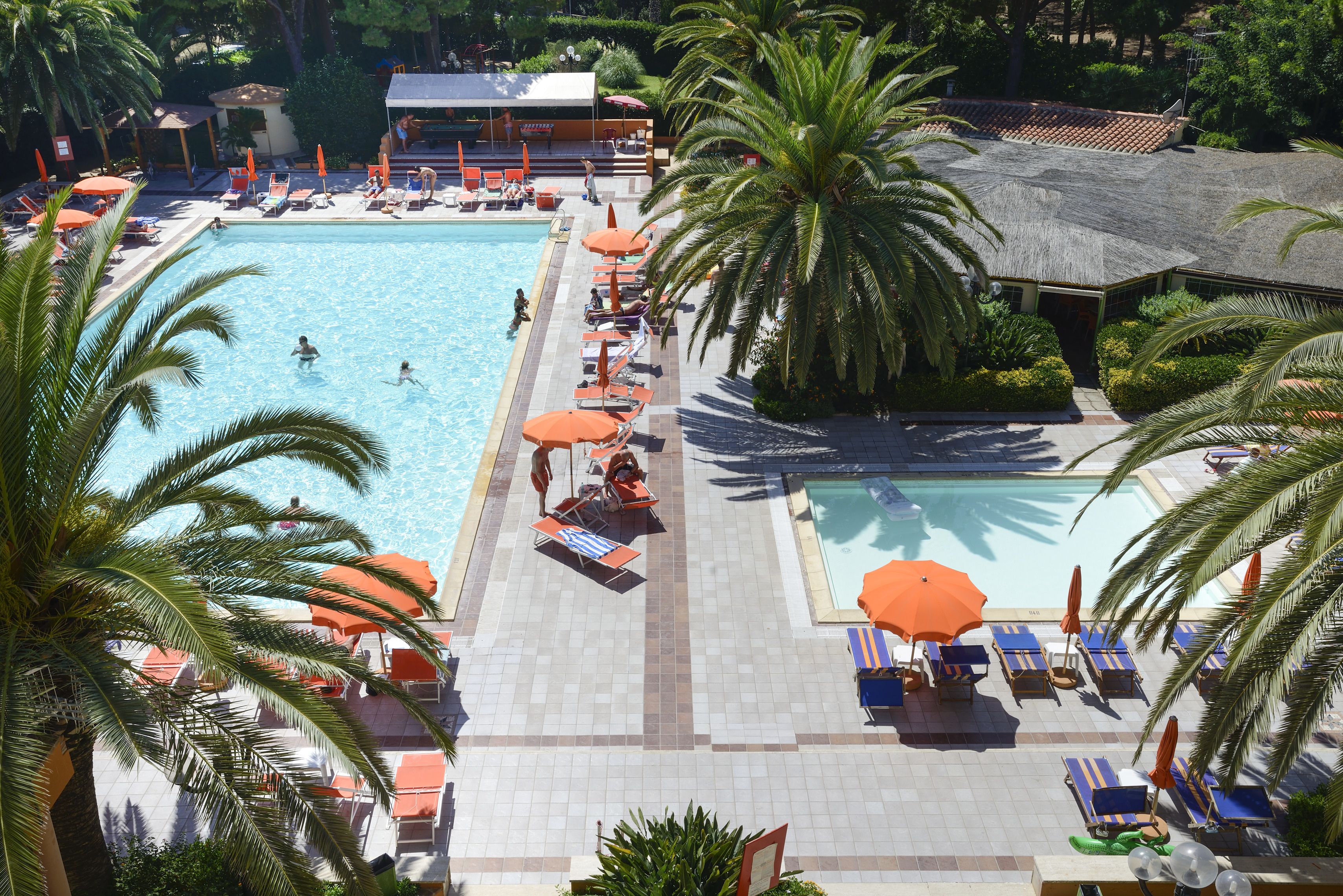 Una piscina amplia con tumbonas y sombrillas, rodeada de palmeras y una zona cubierta.