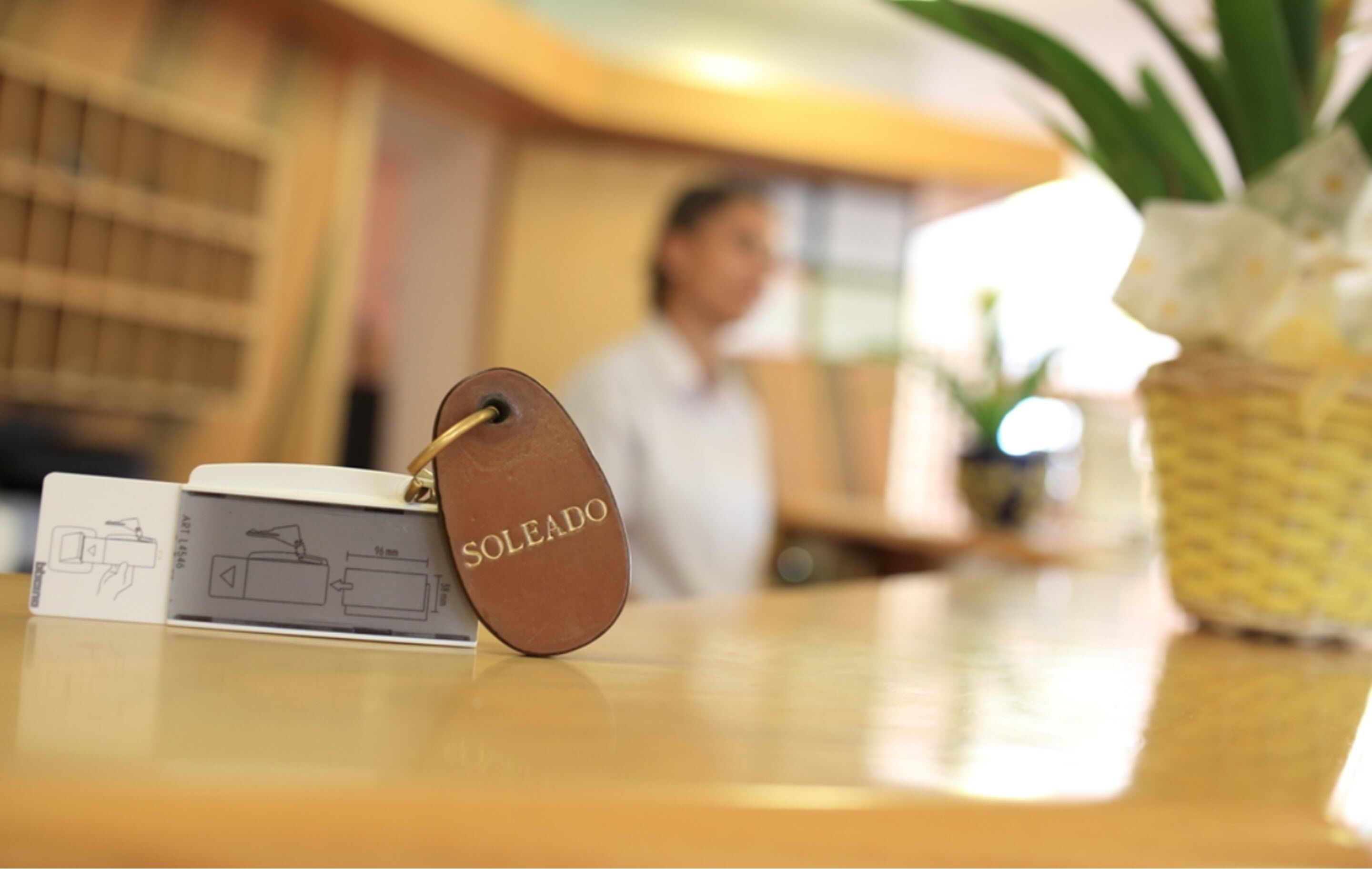 Foto - Hotel Soleado