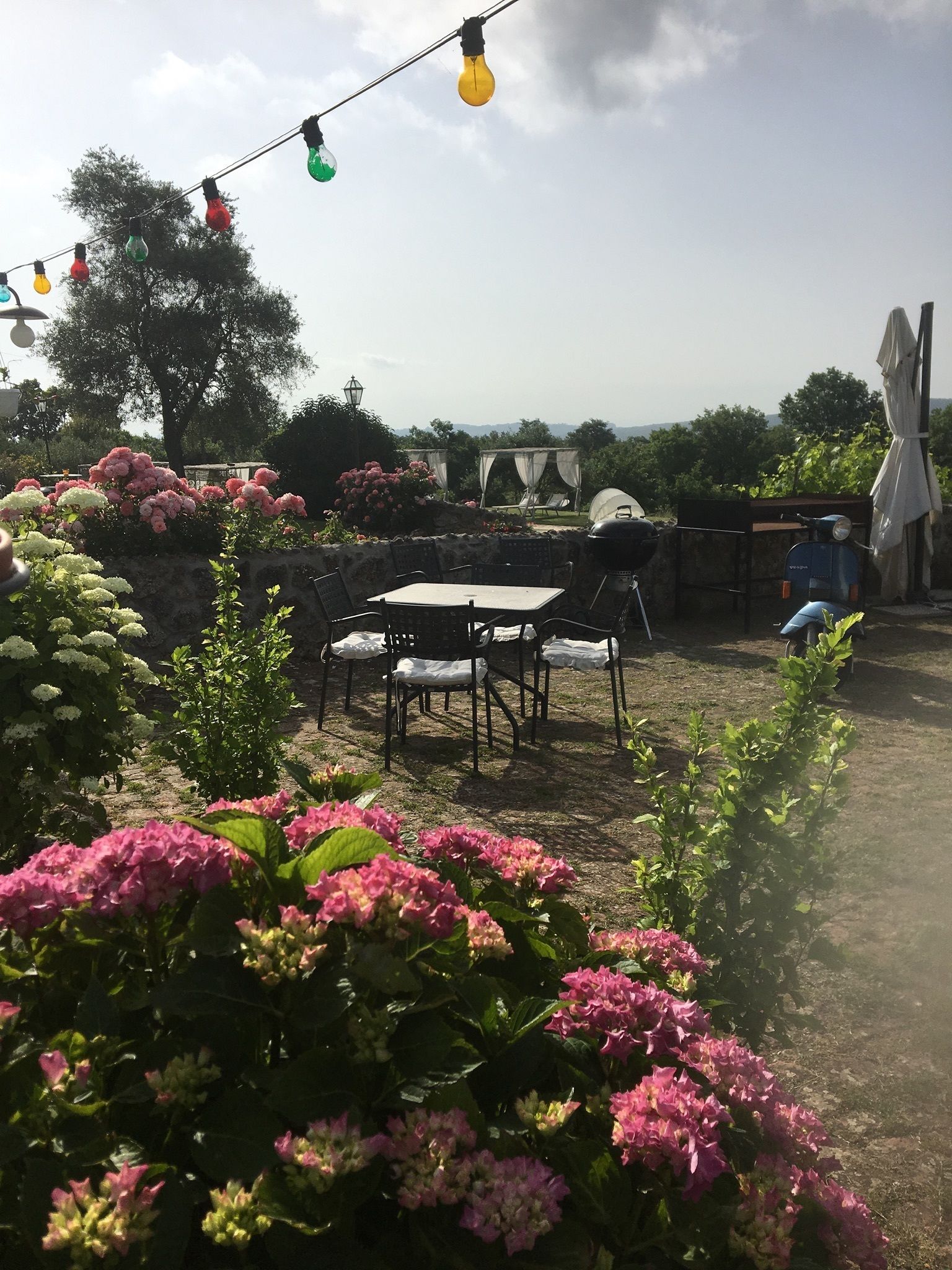 A patio area with a table and chairs, surrounded by flowering plants and a string of colorful lights.