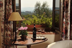 Superior Double or Twin Room | View from room