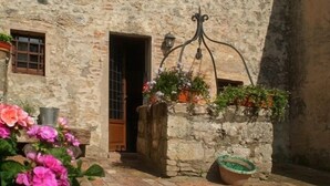 A stone building with a wooden door and window, potted plants, and a metal lantern. - La Canonica di San Michele (Monteriggioni)