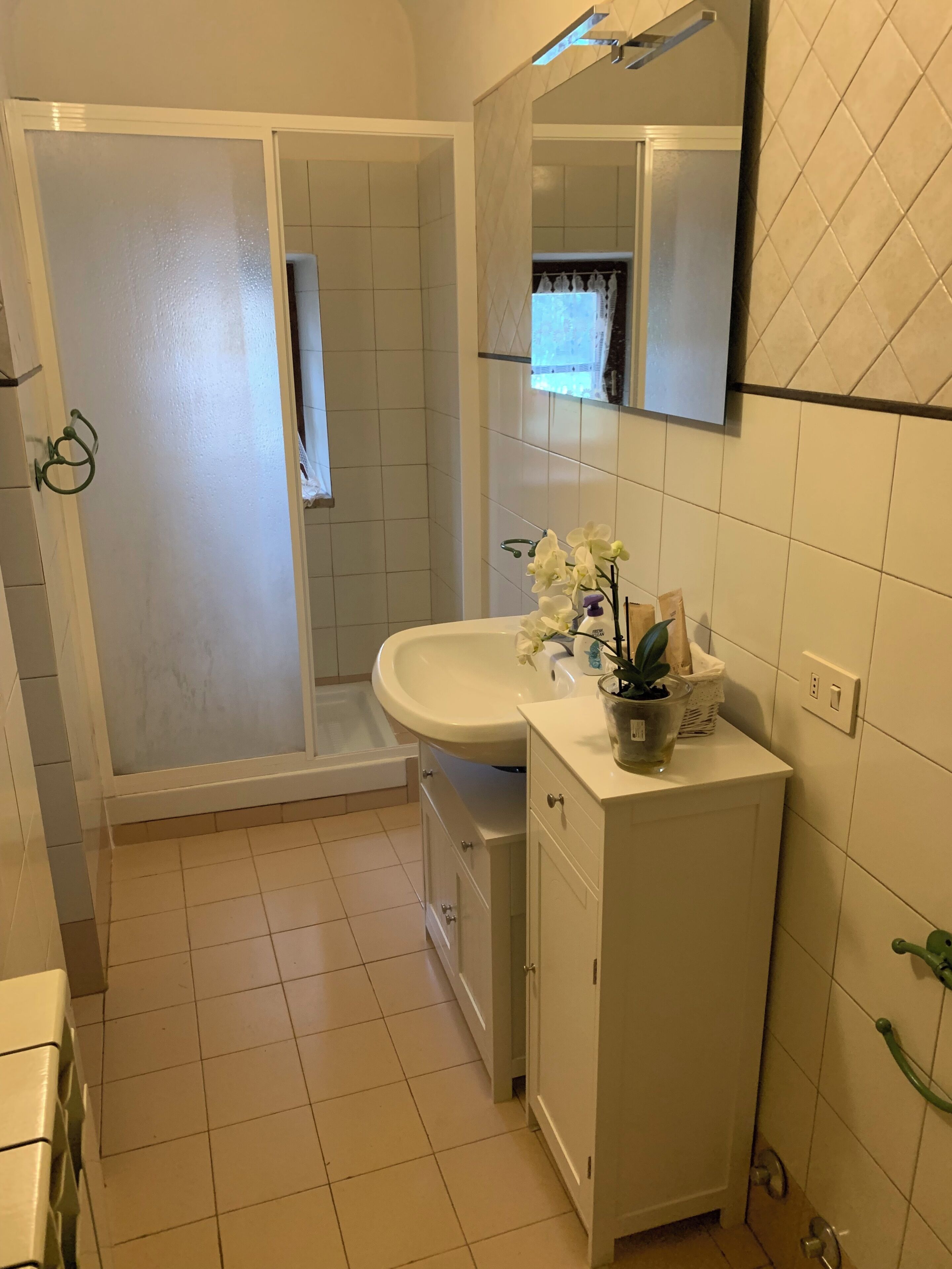 A bathroom with a shower, a sink, and a mirror.