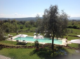 Seasonal outdoor pool, open 7:00 AM to 8:00 AM, pool umbrellas