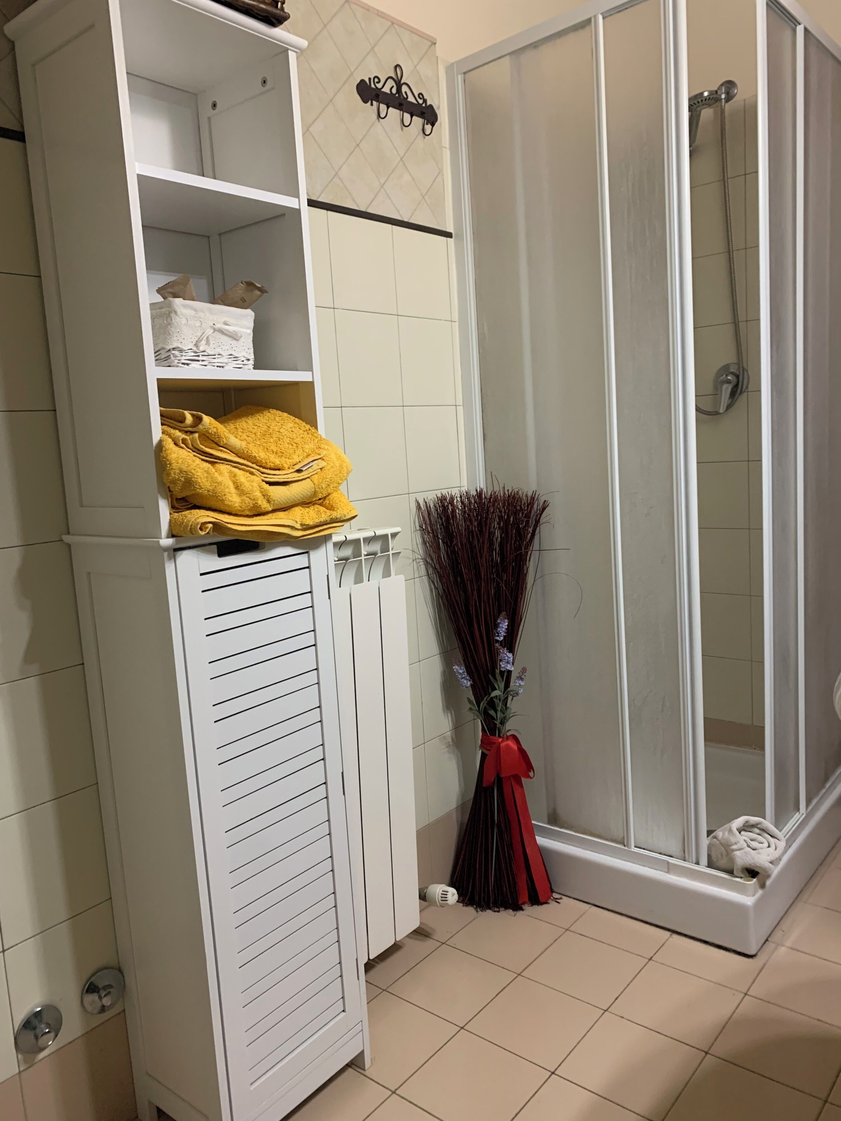 Ein Badezimmer mit Dusche, einem weißen Schrank mit Regalen und einer Zimmerpflanze.