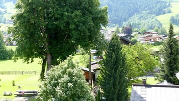 Estudio, 1 habitación, balcón, junto a la montaña | Vista del balcón