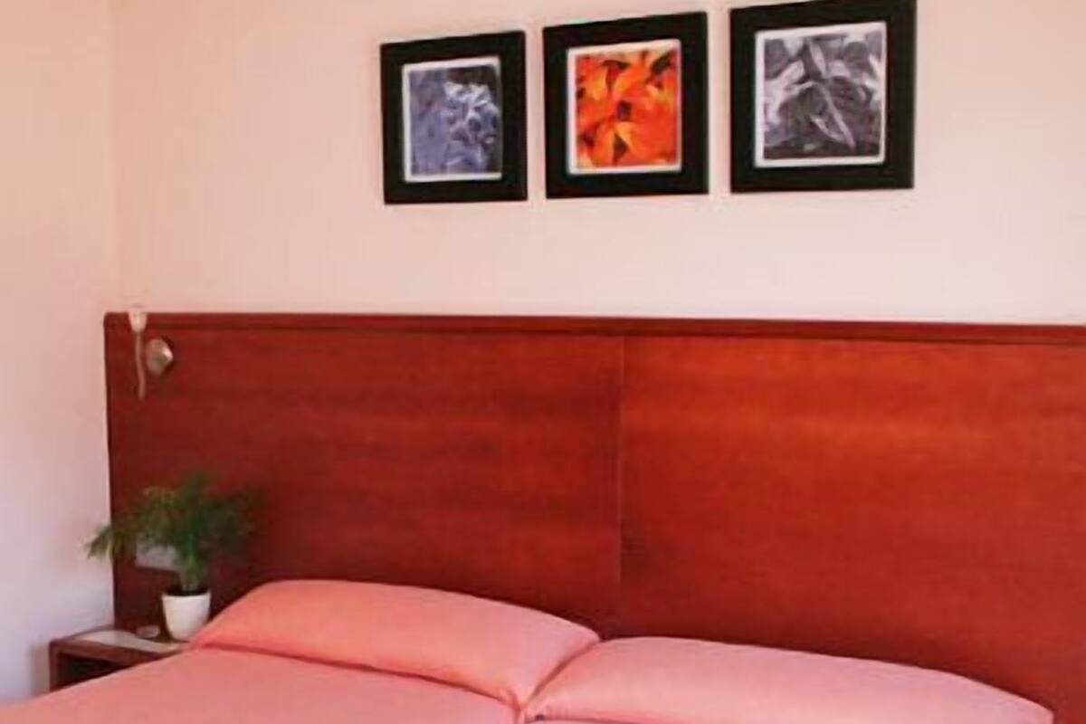 A bed with a wooden headboard, a nightstand with a plant, and three framed artworks on the wall.