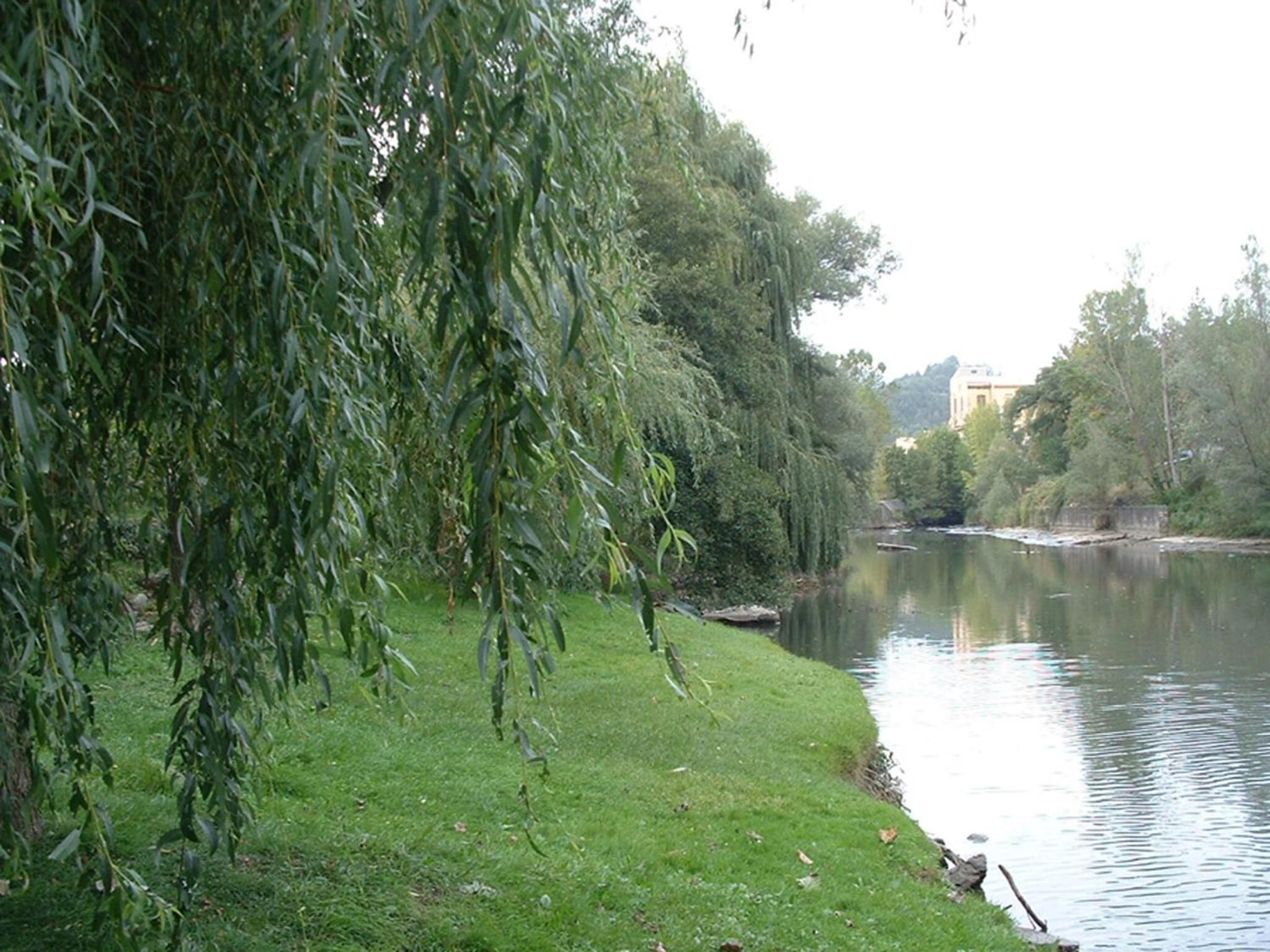 Photo - Hotel Sant Quirze De Besora