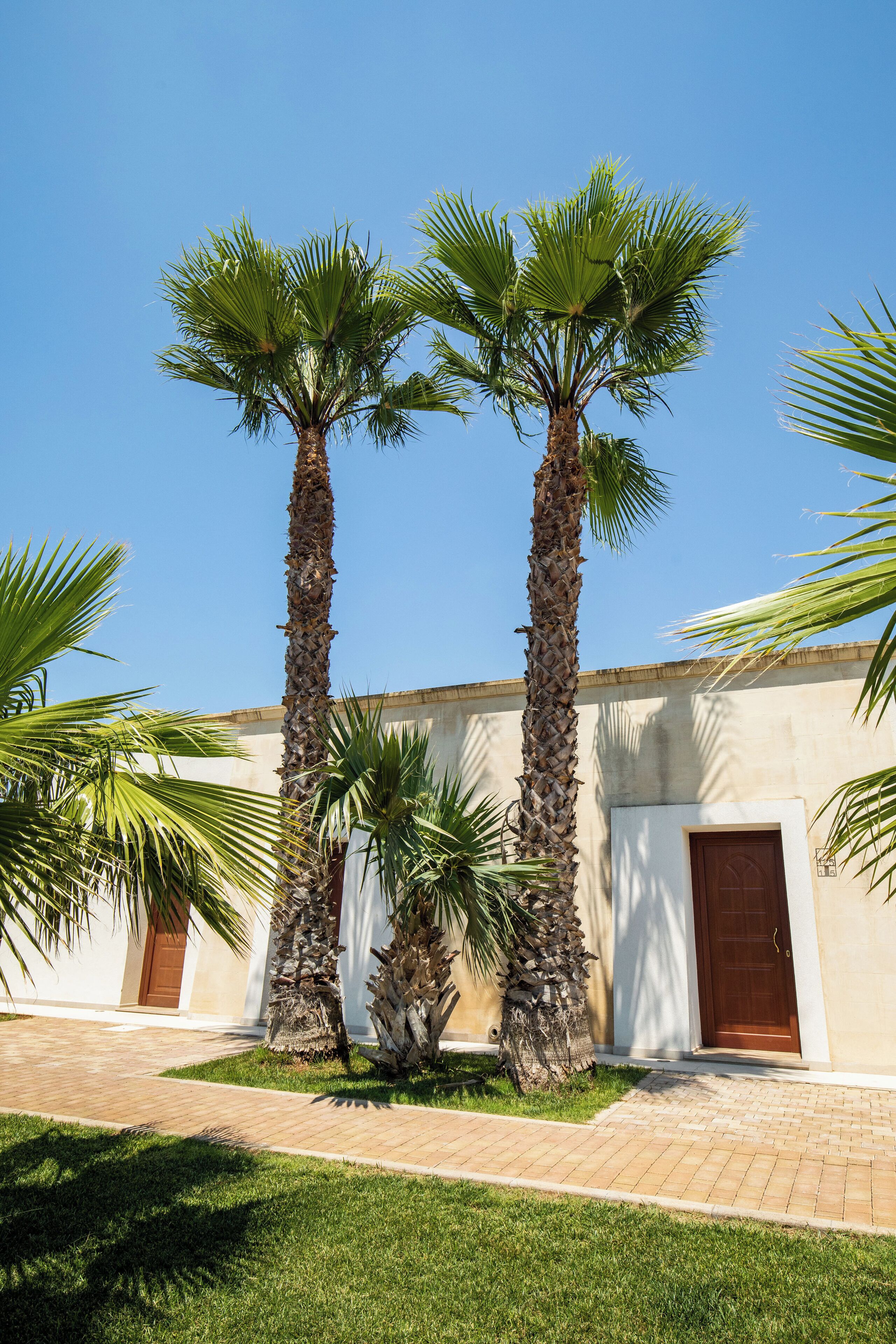 Ropa de cama de alta calidad y minibar 