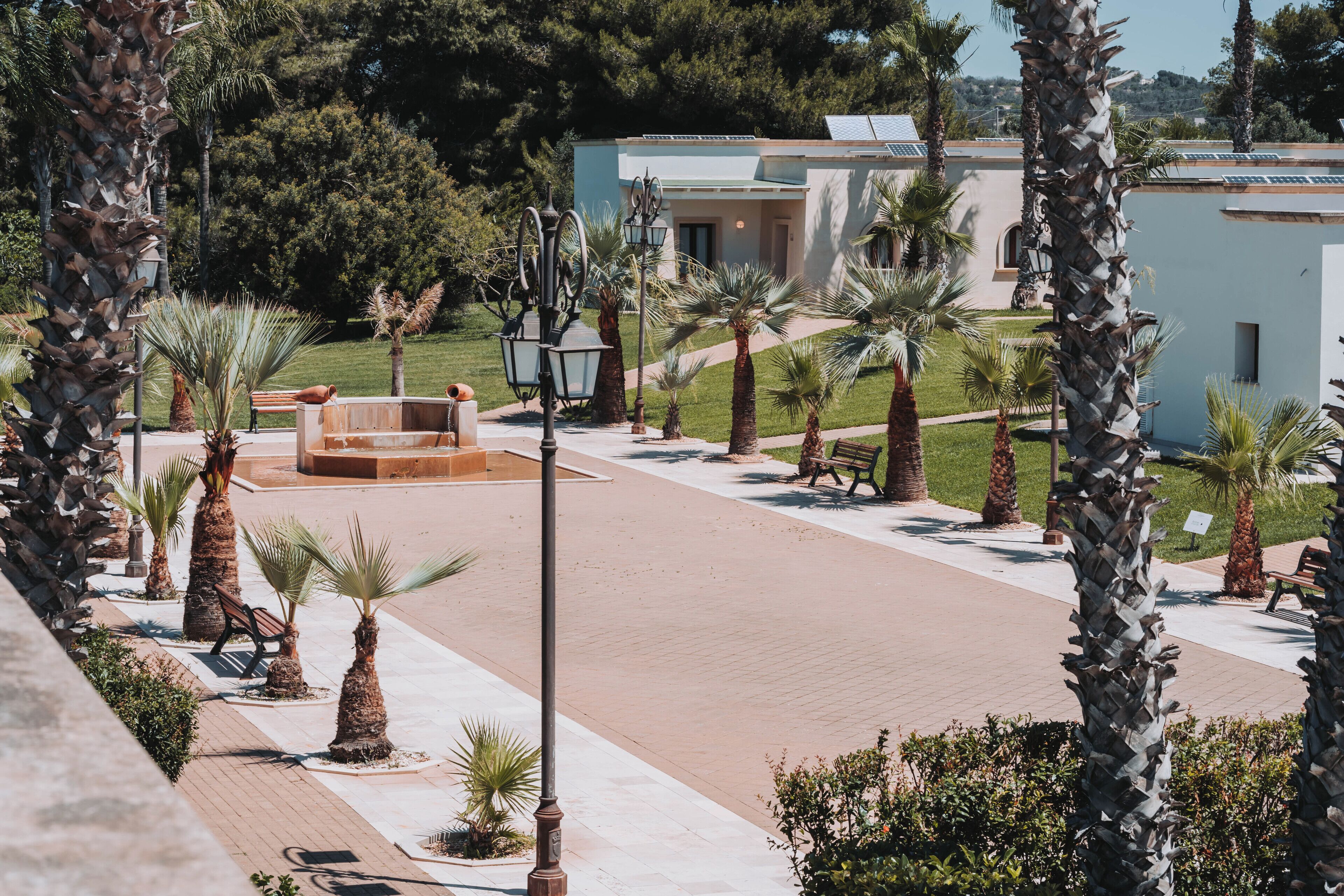 A modern building with a flat roof, surrounded by palm trees and a paved walkway.