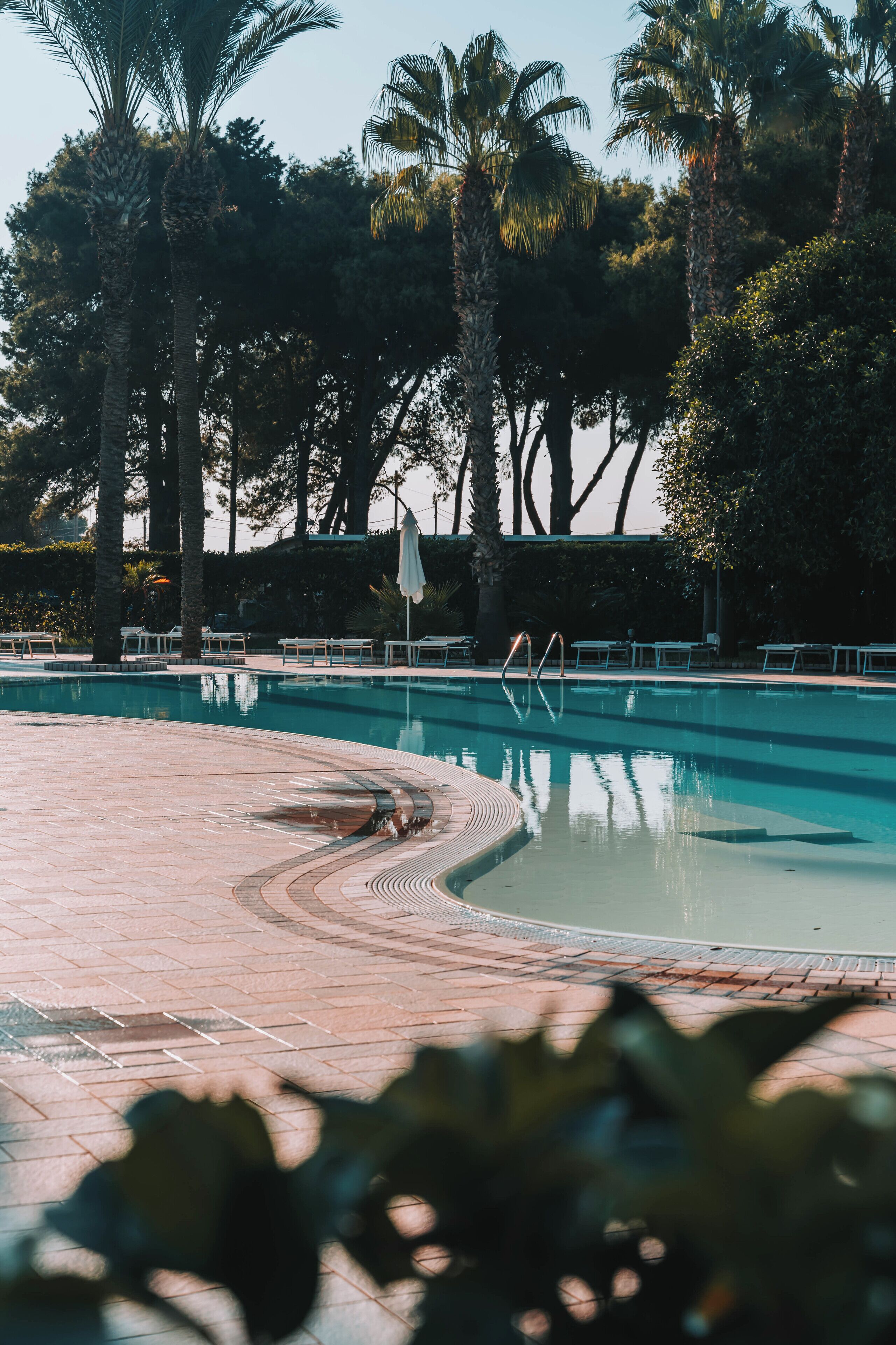 A swimming pool with a tiled deck, surrounded by palm trees and other greenery.