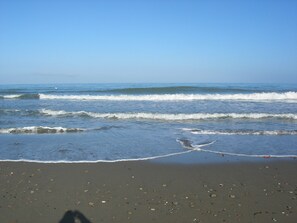 A beach with waves and scattered pebbles.