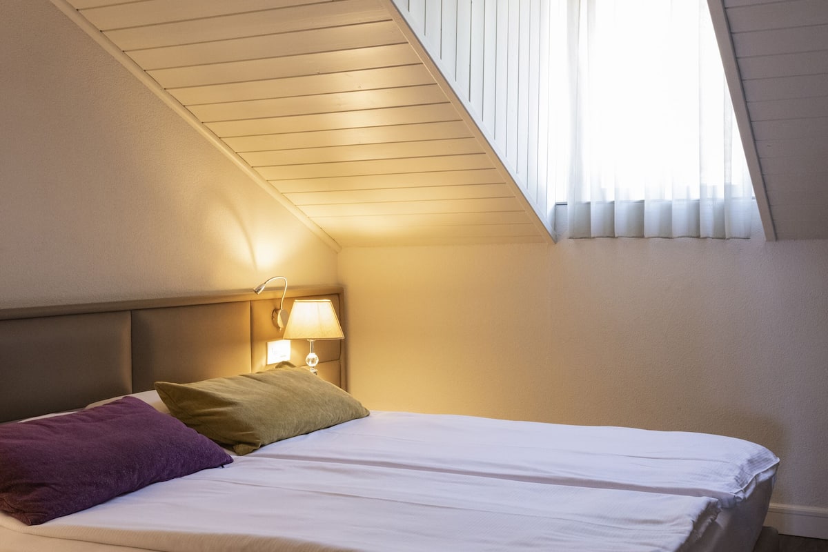 economy double room, shared bathroom | minibar, in-room safe, desk, free wifi