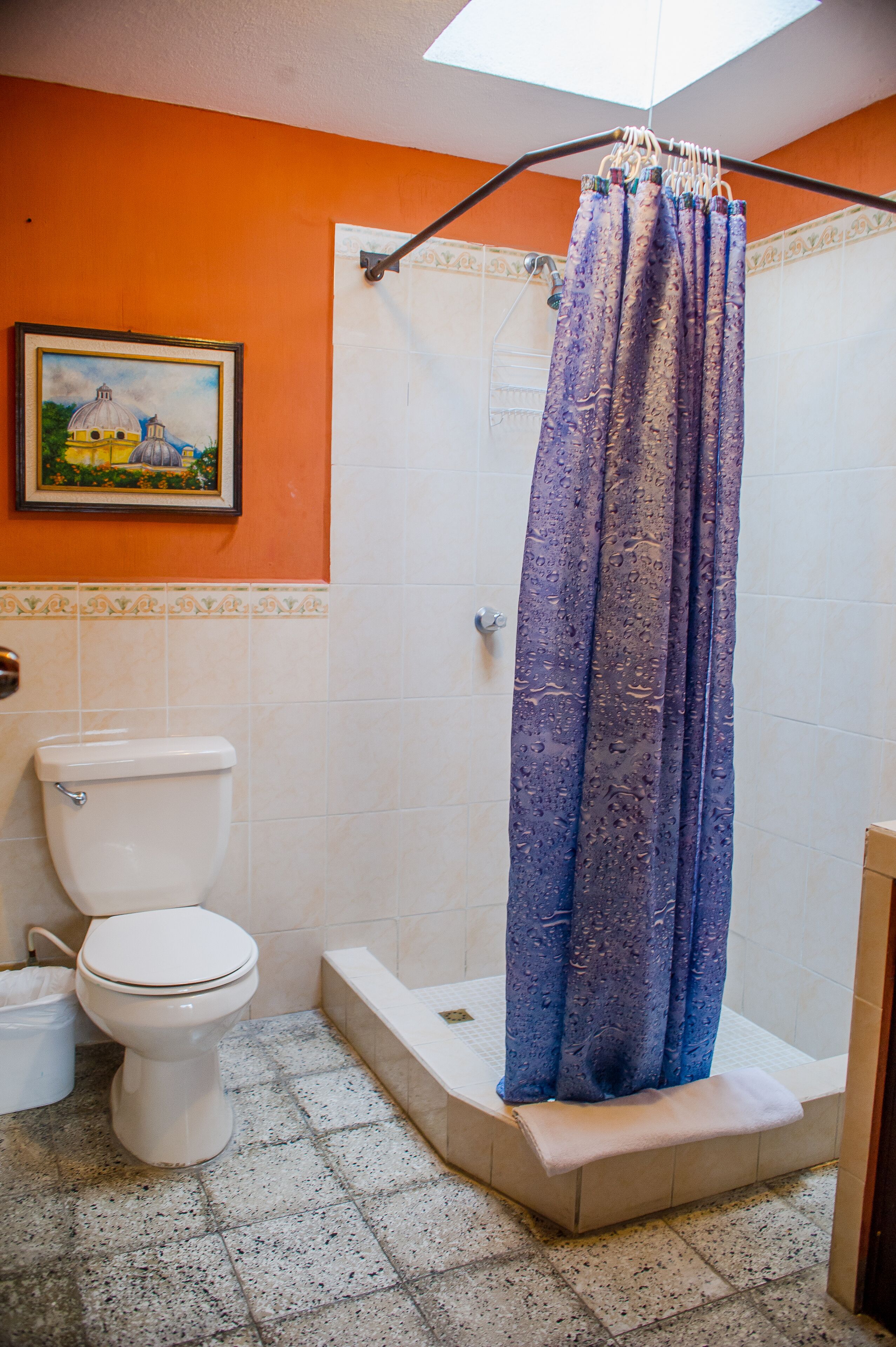 Un baño con cortina de ducha, inodoro y un cuadro en la pared.