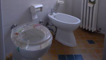 Rainfall showerhead, free toiletries, hair dryer, bidet