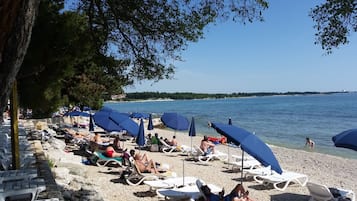 Perto da praia, espreguiçadeiras, guarda-sóis, toalhas de praia 