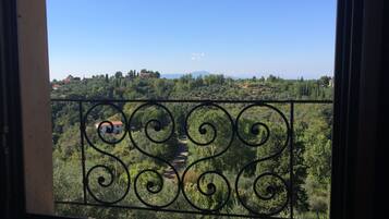 Un balcone con ringhiera in ferro battuto affacciato su un paesaggio rigoglioso, con alberi ed edifici in lontananza.