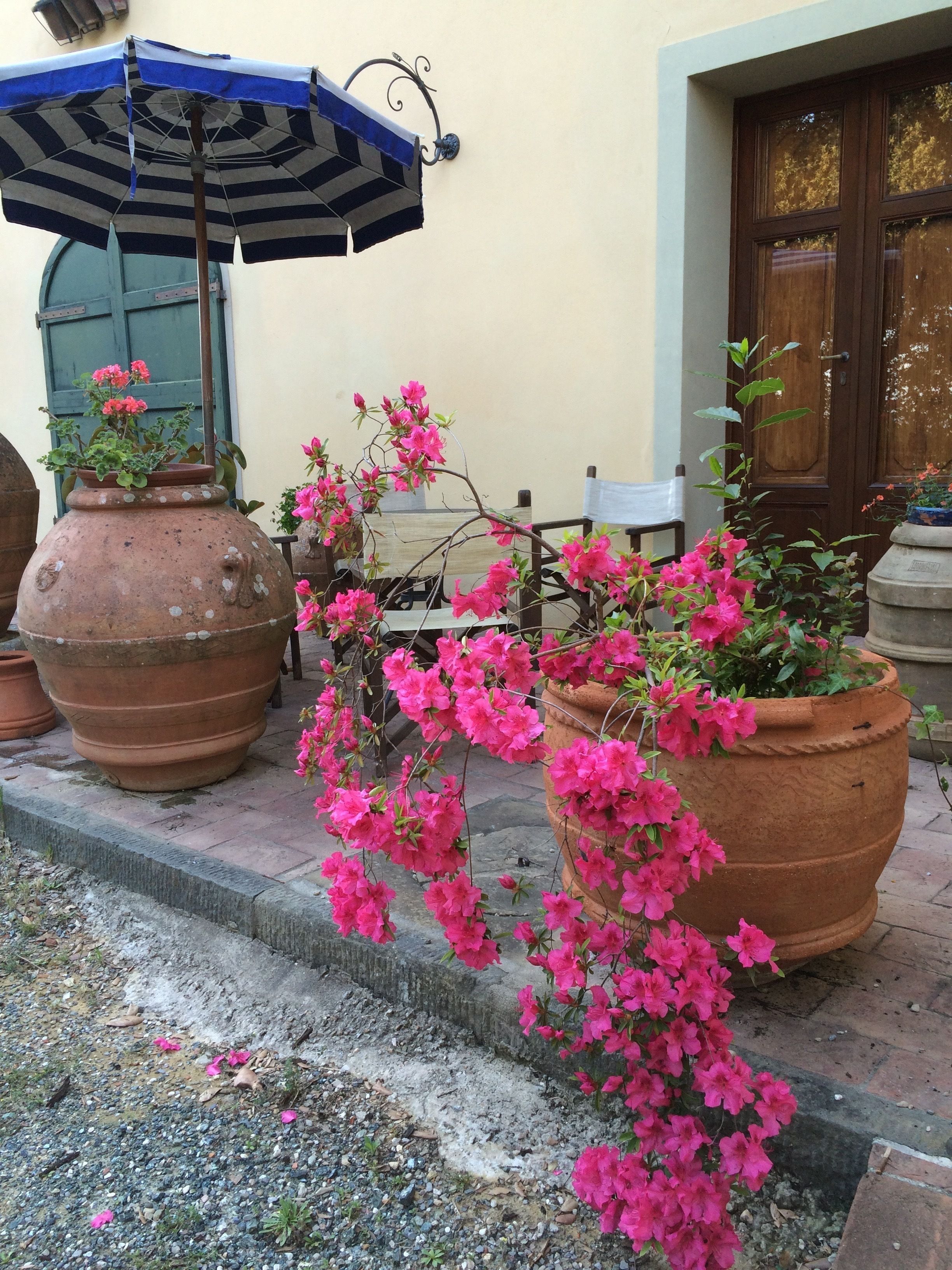 Căn hộ Cao cấp, bếp, tầng trệt | Quang cảnh ban công