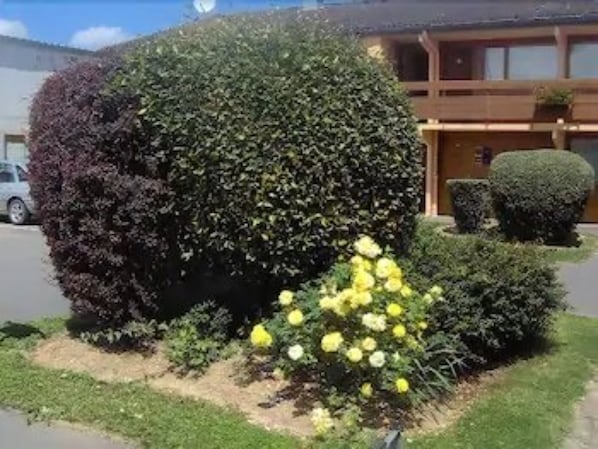 Terrein van de accommodatie