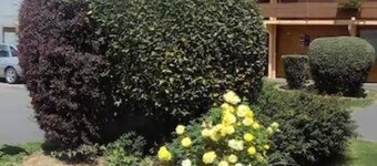 Hôtel Grill Le Coudray-Montceaux