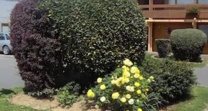 HĂŽtel Grill Le Coudray-Montceaux