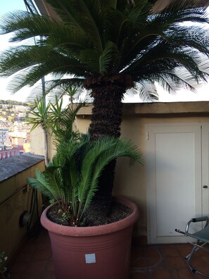 Doppelzimmer, Terrasse | Aussenbereich