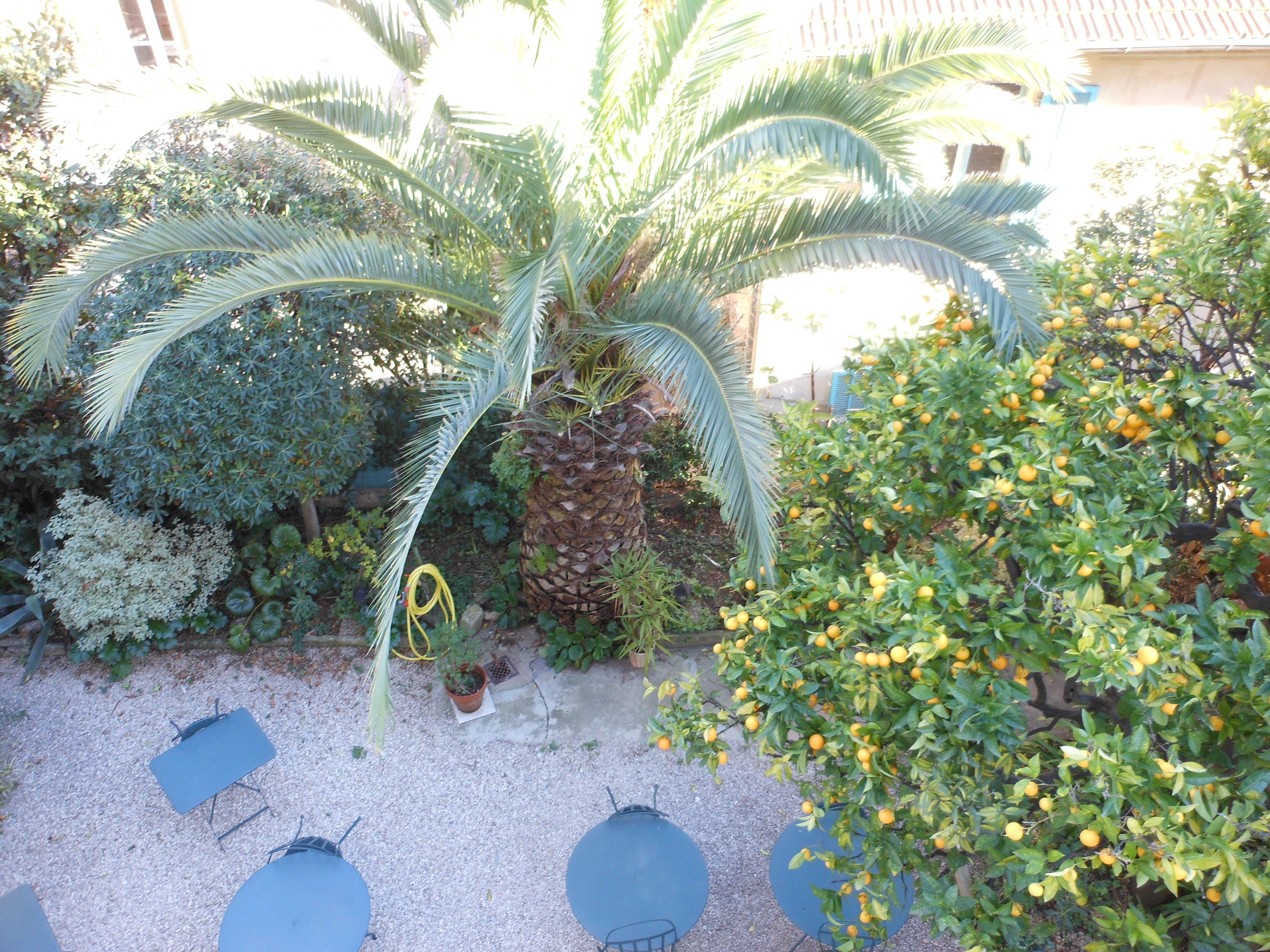 Photo - Hotel Villa Les Cygnes