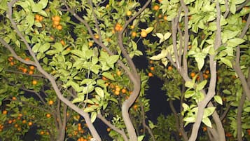 Blick von der Unterkunft