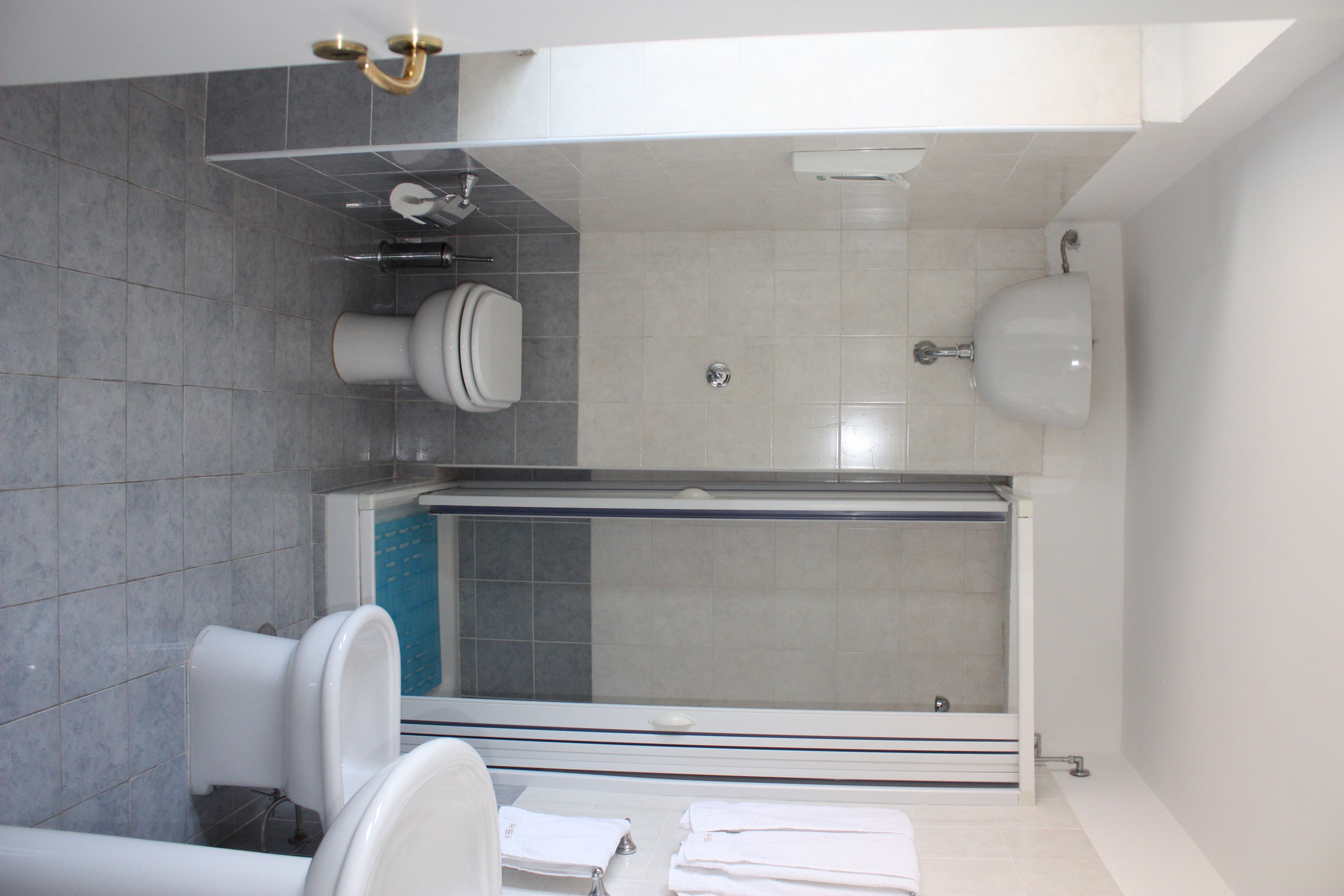 shower, hair dryer, bidet, towels