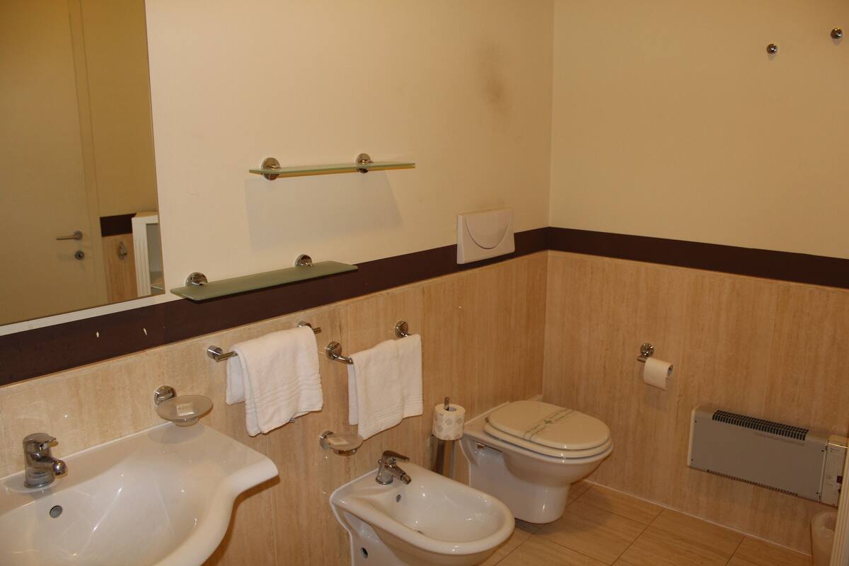 standard double room, 1 double bed | bathroom | free toiletries, hair dryer, bidet, towels