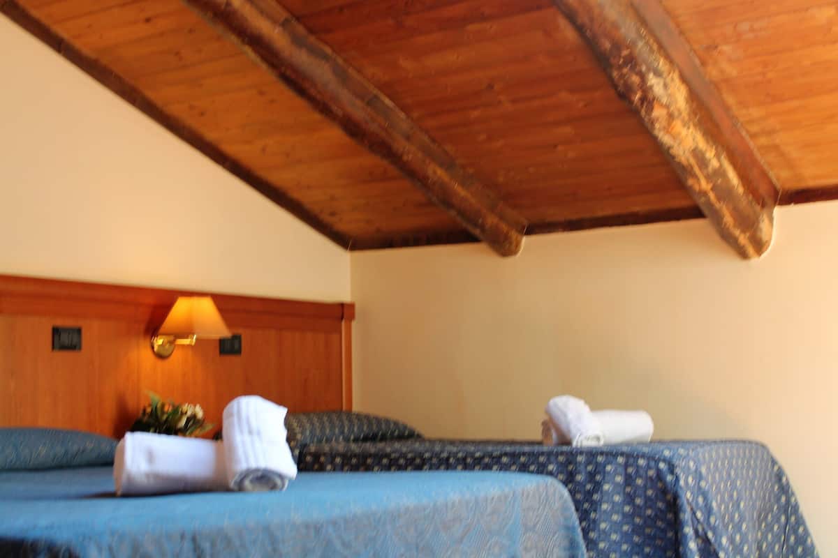 Desk, rollaway beds, free WiFi, bed sheets