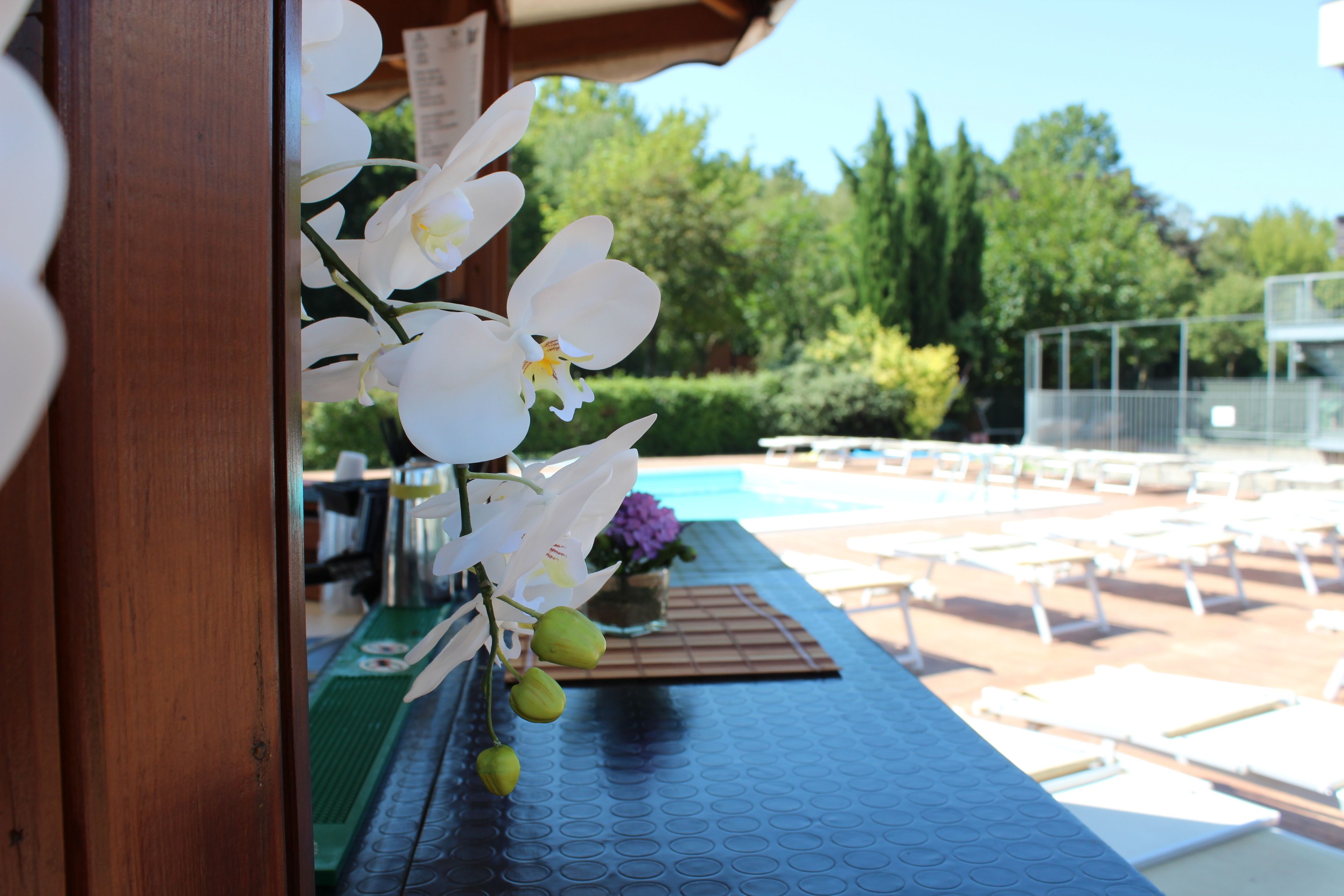 Un espace aménagé au bord de la piscine, avec des chaises longues, une table en bois et un arrangement floral.
