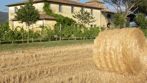 A large building with a tiled roof, surrounded by grapevines and a hay bale in a field. - Cortona Resort - Le Terre Dei Cavalieri (Cortona)
