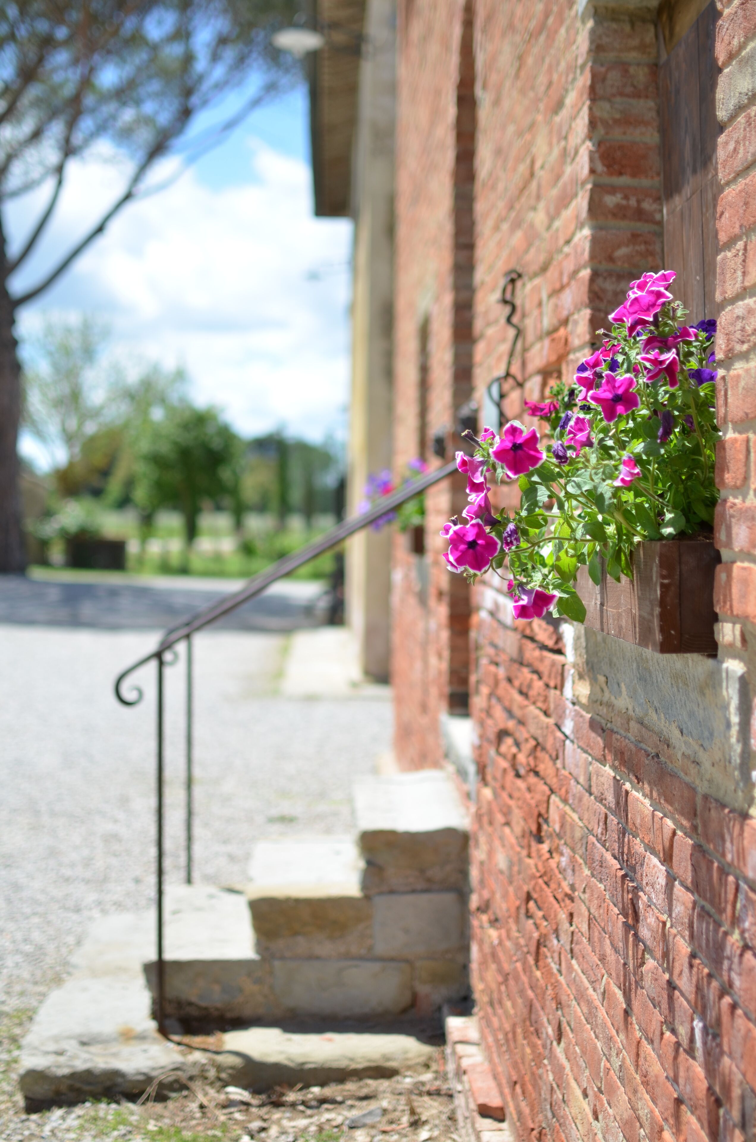 A brick building with a flower box containing pink flowers.