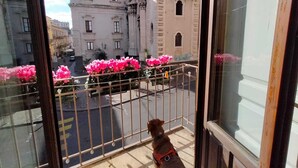 A balcony with a dog, pink flowers, and a view of a historic building. - B&B Crociferi Catania (Catania)