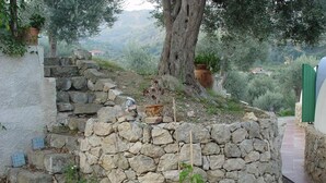 Pared de piedra con plantas en macetas y una escalera que sube.