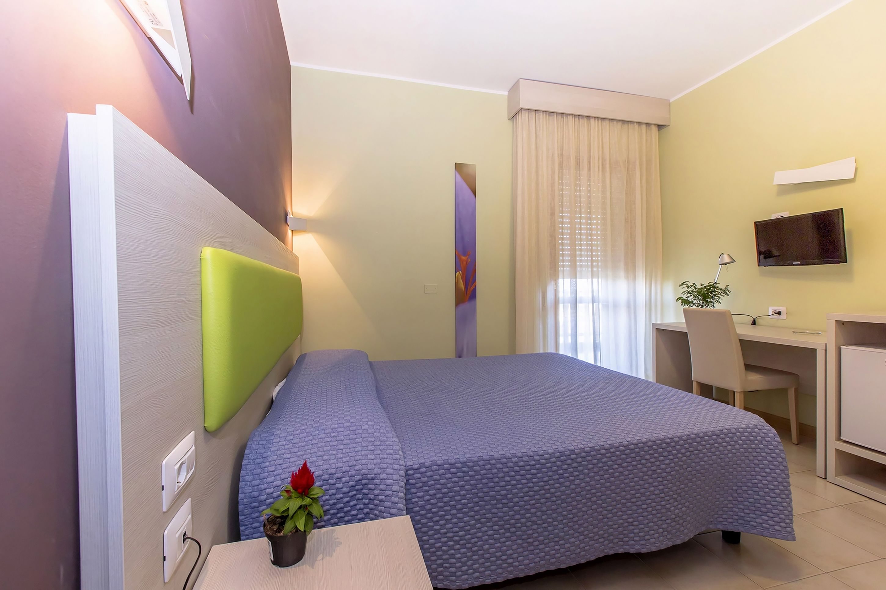 A hotel room with a bed, a desk, a chair, a TV, and a plant.