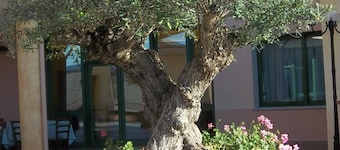 Hotel Baia Marina