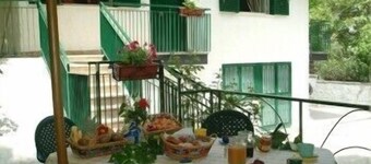 Castagneto dell'Etna