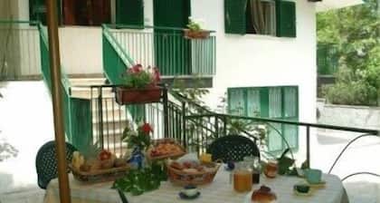 Castagneto dell'Etna