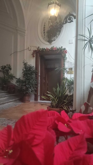 Una entrada imponente con una puerta de madera, una planta grande en maceta y un farol colgante.